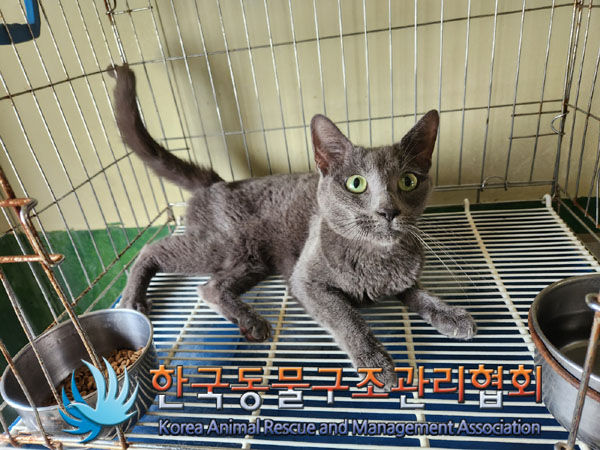 한국동물구조관리협회_411312202300498